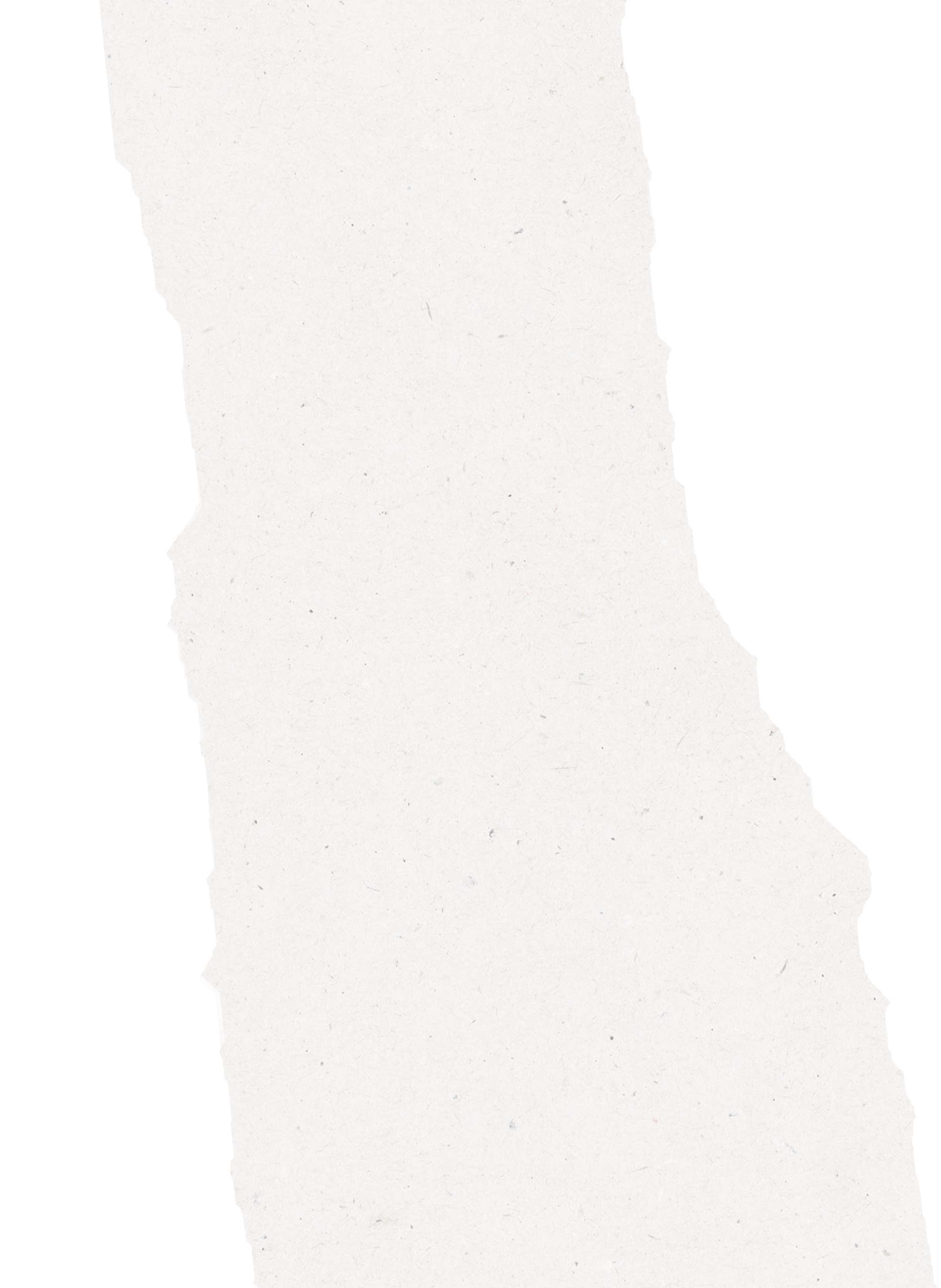 NORDEULE about us Hintergrund Paper